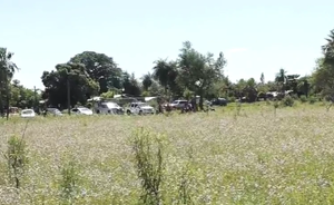 Hallan restos de una mujer en baldío de Puerto Elsa, sospechan que serían de desaparecida - Noticiero Paraguay