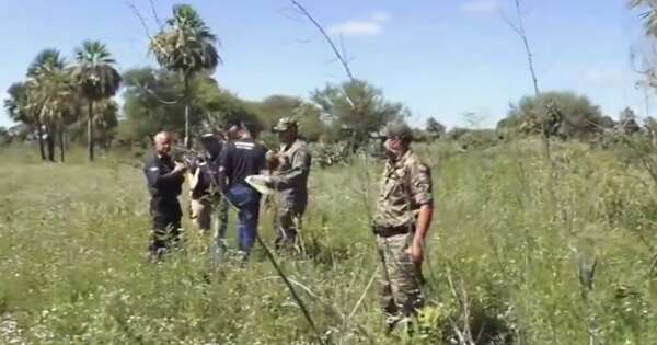 La Nación / Hallan el cuerpo de una mujer en una zona boscosa de Puerto Elsa