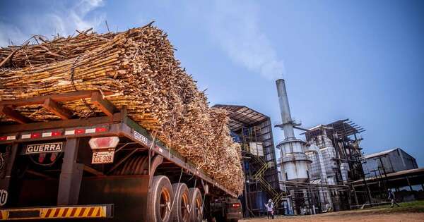 La Nación / Planta de Petropar en Troche produjo 20 millones de litros de alcohol en lo que va del año