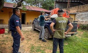 Cinco personas caen con 350 kilos de carne silvestre y son imputadas por delitos ambientales – Prensa 5