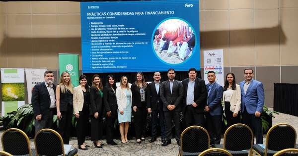 La Nación / Procampo Verde: programa de la AFD busca modernizar la ganadería con prácticas sostenibles