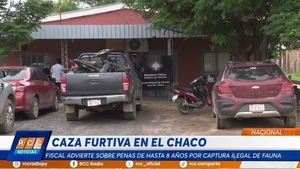 Video: Caza furtiva en el Chaco: Fiscal advierte sobre penas de hasta 8 años por captura ilegal de fauna