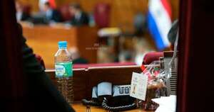 La Nación / Diputados sanciona Ley de Armas y pasa al Ejecutivo