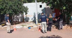 La Nación / Perros hurgaban en la basura, se acercó a ver y se encontró con lo peor: “Vi el cuerpito”