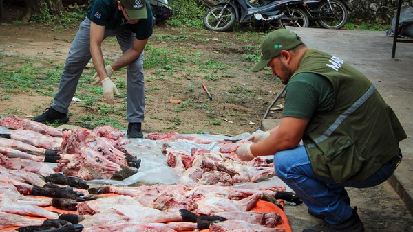 Detienen a cinco con carne silvestre ilegal