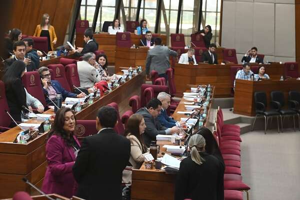 Diputados posterga sanción de RUN, empantanados por exigencia de certificado de condición de dominio - Política - ABC Color