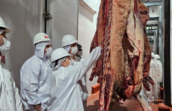 Exportaciones de Carne Bovina: Chile y Taiwán lideran como principales mercados