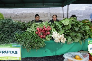 Cooperativa Medalla Milagrosa anuncia el Lanzamiento de Programas para MiPymes 2025 y Expo Emprendedores | Locales | 5Días