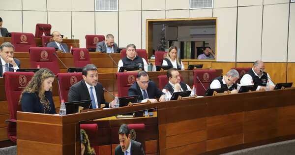 La Nación / Autoridades electorales analizaron con Senadores sobre inscripción automática en el RCP