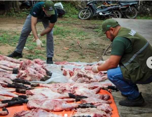 Formulan imputación por transporte irregular de carne silvestre - 1000 Noticias