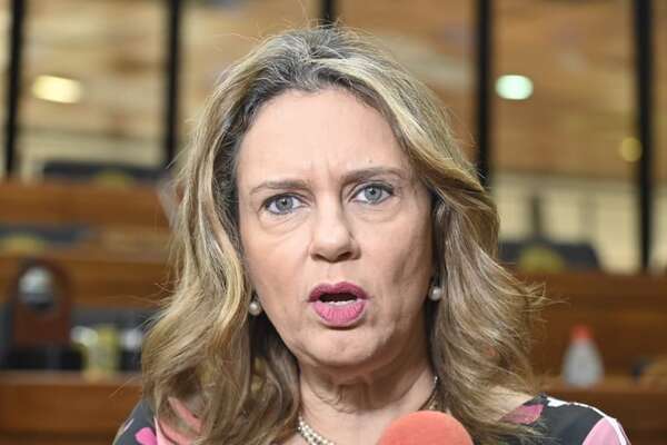 Esto dijo Rocío Vallejo sobre los puntos que hoy se debían tratar en Diputados - Política - ABC Color