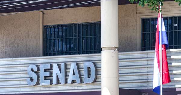 La Nación / Los resultados son contundentes