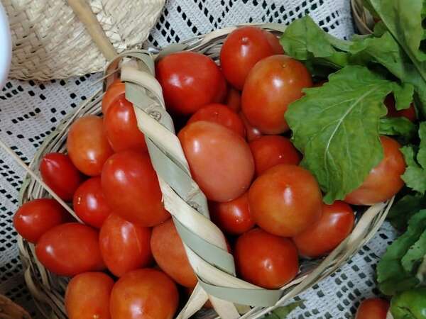 Tomate y cebolla a G. 5.000 el kilo y muchas otras ofertas hoy en nueva Feria de la Agricultura Familiar - Economía - ABC Color