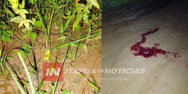 ASESINARON A UN HOMBRE A BALAZOS EN SAN PEDRO DEL PARANÁ - Itapúa Noticias