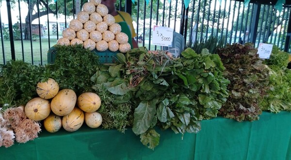 Realizan feria “Ary paha, Fiestas con Sabor a Campo”, frente a plaza del Congreso - .::Agencia IP::.