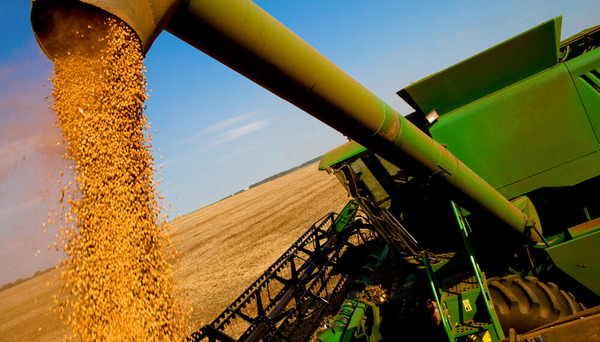 Fiscal acusa a un sujeto procesado por estafa a una firma agropecuaria - La Clave