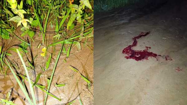 Hombre es asesinado a balazos en San Pedro del Paraná