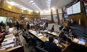 División en Diputados frena aprobación del RUN