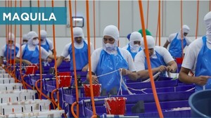Maquila: Al cierre de noviembre exportaciones industriales superan cifras del 2023 - .::Agencia IP::.