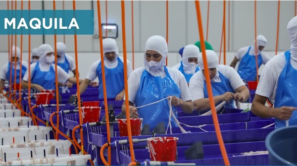 Maquila: Al cierre de noviembre exportaciones industriales superan cifras del 2023 - .::Agencia IP::.