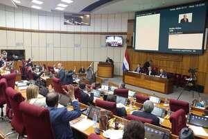 Sin ningún debate, aplanadora cartista del Senado dio media sanción a la nueva ley APP - Economía - ABC Color