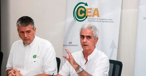 La Nación / Industrias frigoríficas tendrían lectura cortoplacista sobre precios de la carne, afirman
