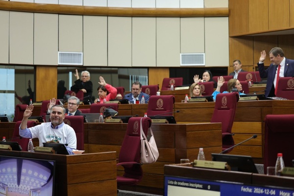 Cámara de Senadores aplaza discusión sobre modificación del Código Electoral para migrantes