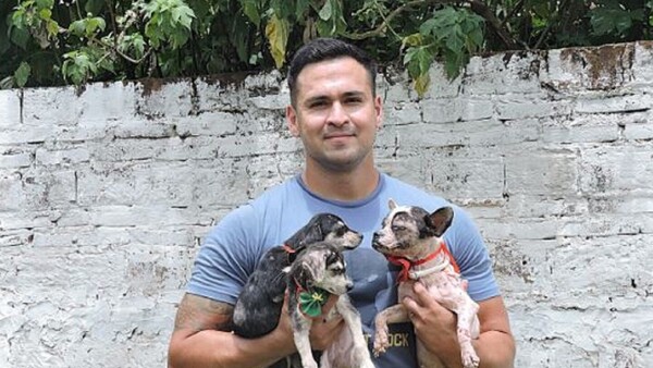 Carlos Ruíz, el agente Lince que rescata animales callejeros e insta a la adopción responsable