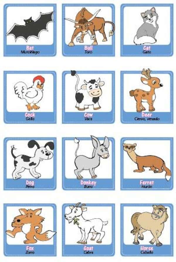 Farm Animals - Animales de la granja - Aprender Inglés con el Escolar de ABC - ABC Color