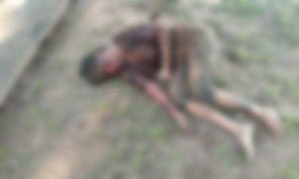 Mujer atacada por cuatro pitbulls tras ingresar a una granja en Coronel Oviedo - OviedoPress