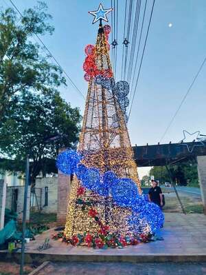 Ciudad del Este “donó” árbol de Navidad a Asunción, pero concejales colorados lo rechazaron - Política - ABC Color