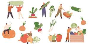 Productos agrícolas - Vida Social y Trabajo - ABC Color
