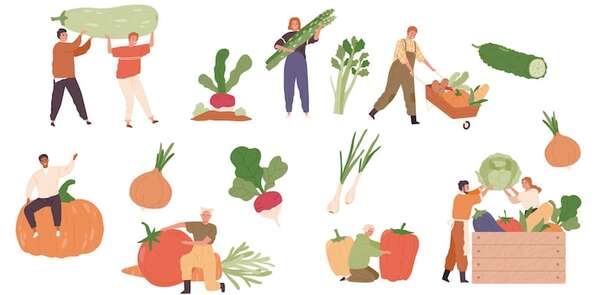 Productos agrícolas - Vida Social y Trabajo - ABC Color