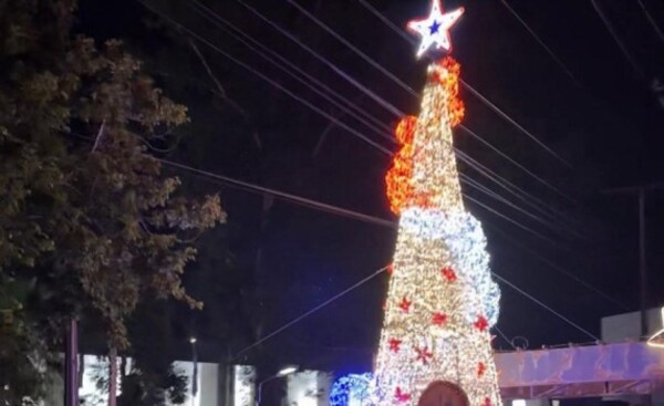 Central recibe árbol de Navidad que fue rechazado por asuncenos