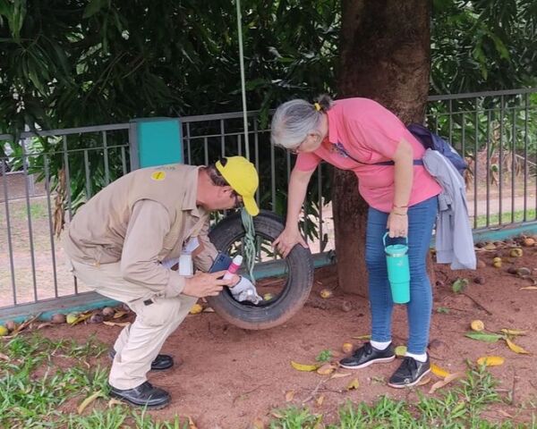 Oñemopotĩ hetave 2.000 ñati’ũ tenda minga ambiental rupi táva Areguápe - .::Agencia IP::.