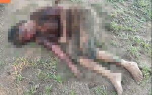 Perros pitbull atacan a una mujer tras ingresar a una granja en Caaguazú