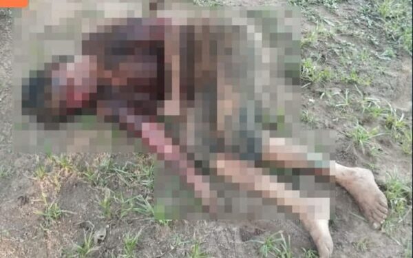Perros pitbull atacan a una mujer tras ingresar a una granja en Caaguazú