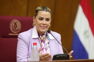 Senadora aboga por justicia equitativa ante el proyecto de ley que crea juzgados especializados con enfoque de género