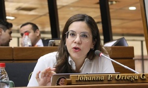 Diputados presentan proyecto para regular subastas de tierras municipales en Asunción - OviedoPress
