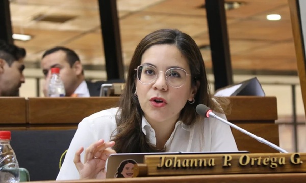 Diputados presentan proyecto para regular subastas de tierras municipales en Asunción - OviedoPress