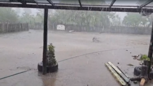 Una fuerte tormenta con algunos daños materiales se registro en Alto Paraguay
