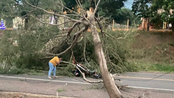Árbol cae sobre motociclista por fuertes vientos en Yby Yaú