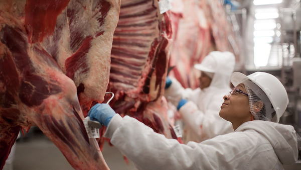 Gremio no descarta un Instituto de la Carne exclusivo para productores ante falta de consenso