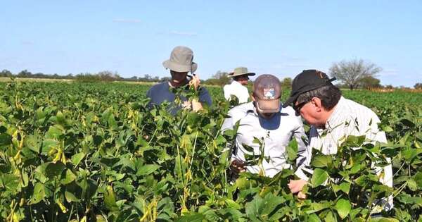 La Nación / Recomiendan a productores monitorear ante lluvias