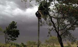 Meteorología: así estará el tiempo en Paraguay durante el fin de semana - Clima - ABC Color