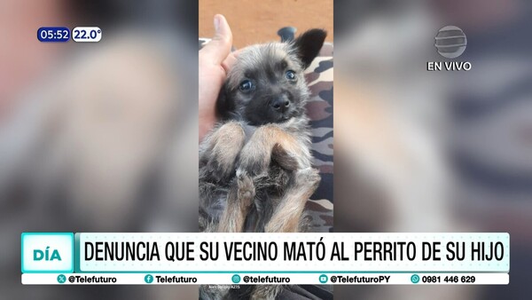 Denuncia que su vecino mató al perrito de su hijo