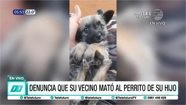 Agresivo hombre mató de un disparo a un cachorro en Capiatá