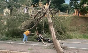 Árbol cae sobre motociclista por fuertes vientos en Yby Yaú – Prensa 5