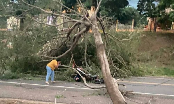 Árbol cae sobre motociclista por fuertes vientos en Yby Yaú – Prensa 5