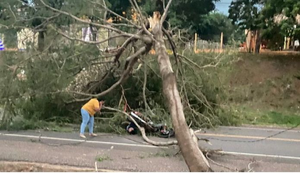 Árbol cae sobre motociclista en Yby Yaú durante un fuerte temporal - Noticiero Paraguay